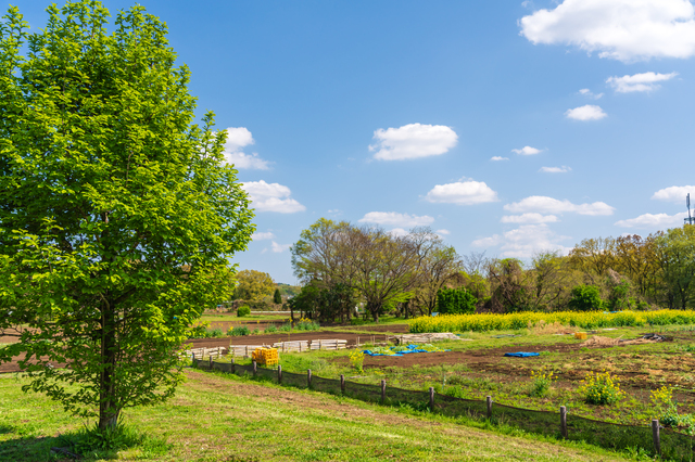 郊外の暮らし