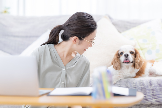 ホームズ ワンルームでも犬は飼える 部屋探しのコツや注意点を解説 住まいのお役立ち情報