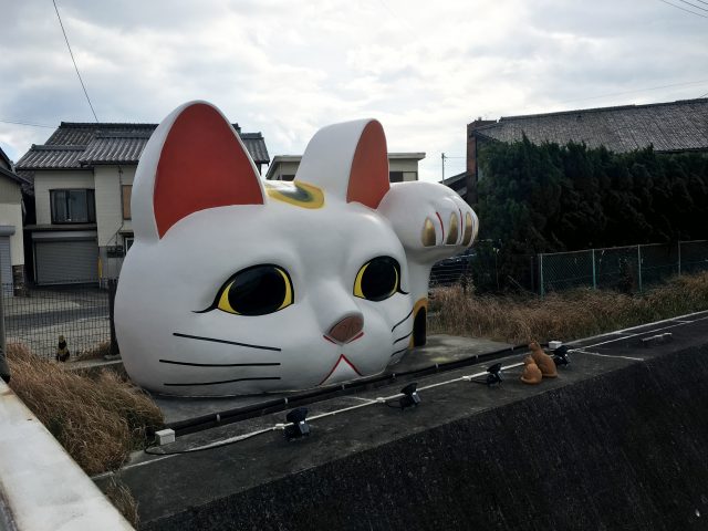 見守り猫「とこにゃん」