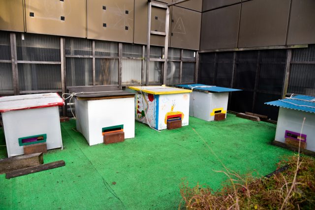 銀座のビルの屋上で養蜂…。奇想天外な発想は、「銀座フィルター」に受け入れられたようです