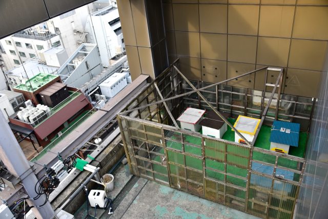 柵に囲まれた部分が養蜂所。季節によって個体数は変わるが、ひとつの箱に約1万匹のミツバチがいる