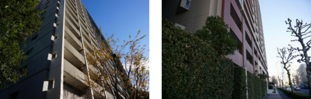 編集)レグノカリテと品川シーサイドレジデンス